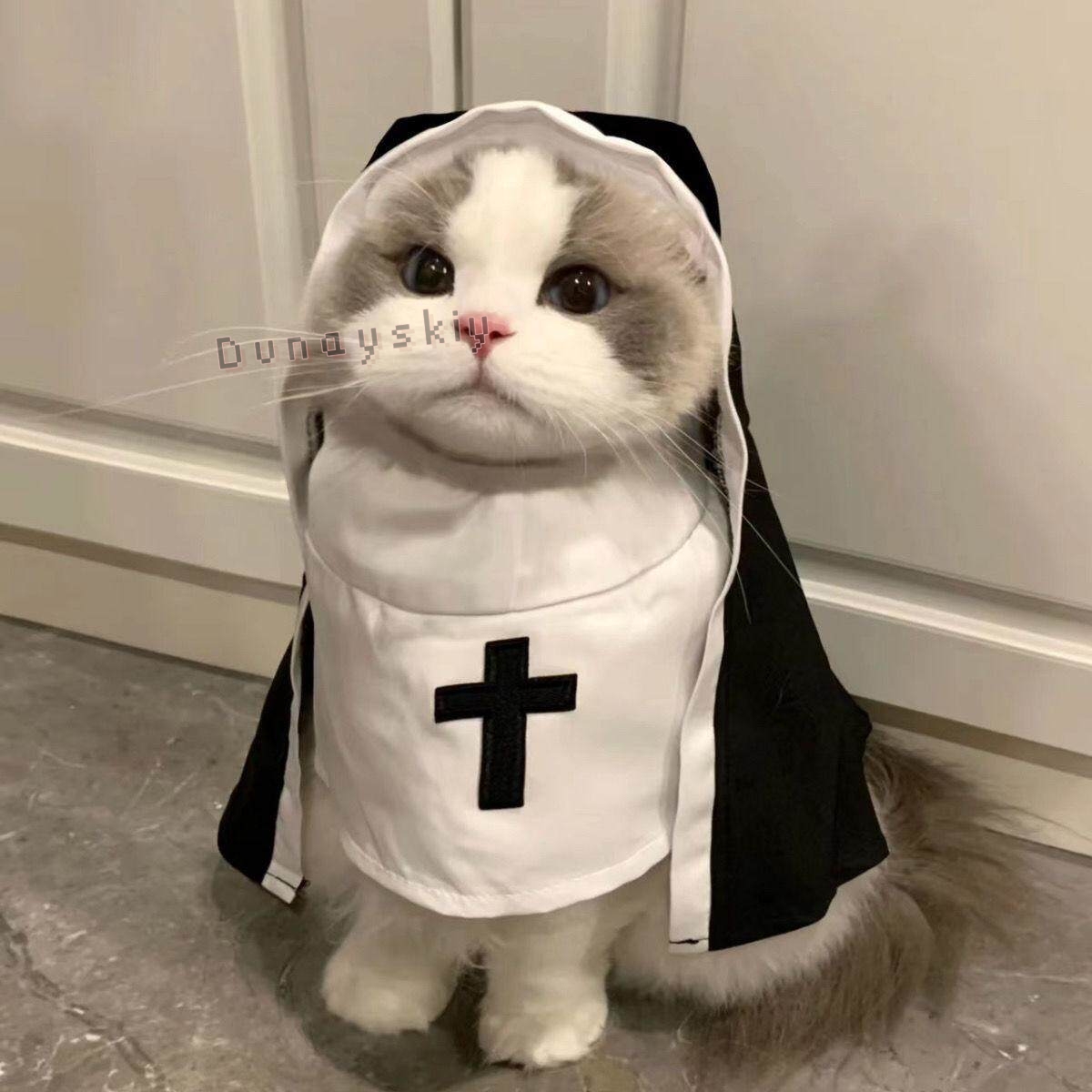 Anime Cosplay Nun - Fantasia de Natal para Cães e