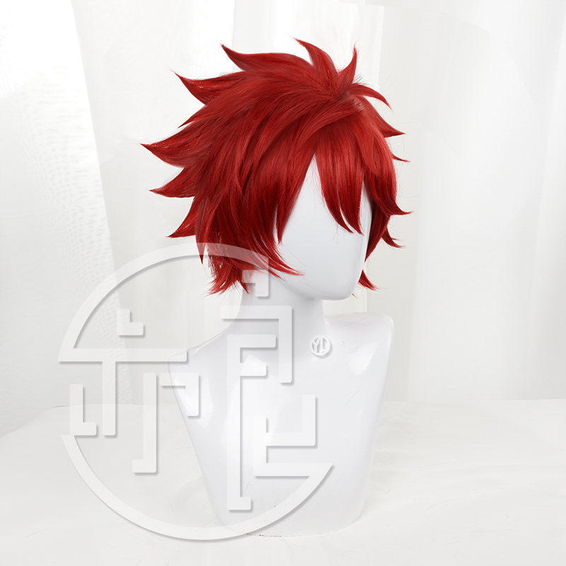 Anime sk8 o infinito reki cosp - Anime Cosplay Red Hair avaliação e preço