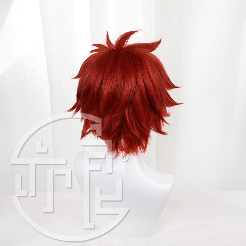 Anime sk8 o infinito reki cosp - Anime Cosplay Red Hair avaliação e preço