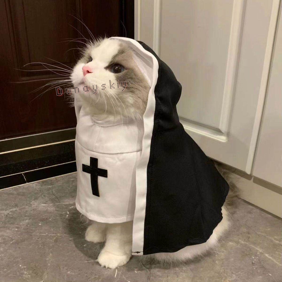 Fantasia de Natal para Cães e  - Anime Cosplay Nun avaliação e preço