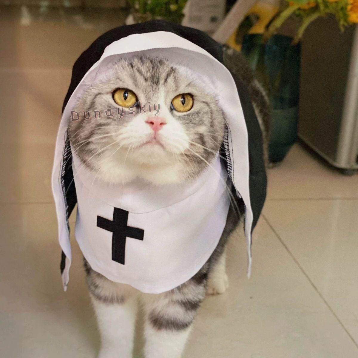 Fantasia de Natal para Cães e  - Anime Cosplay Nun avaliação e preço