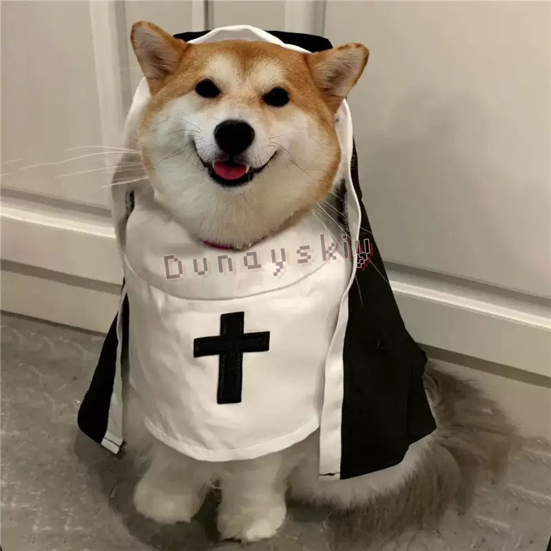 Fantasia de Natal para Cães e  - Anime Cosplay Nun avaliação e preço